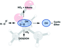 Graphical abstract: Energy-resolved and time-dependent unimolecular dissociation of hydroperoxyalkyl radicals (˙QOOH)
