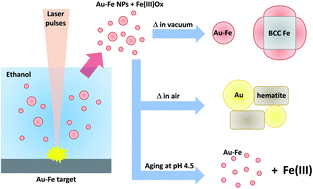 Graphical abstract: Structural evolution under physical and chemical stimuli of metastable Au–Fe nanoalloys obtained by laser ablation in liquid