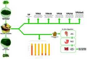Graphical abstract: Leafy vegetables fortification enhanced the nutritional profile and reduced the glycemic index of yellow cassava pasta