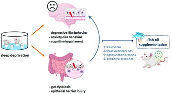 Graphical abstract: Fish oil ameliorates neuropsychiatric behaviors and gut dysbiosis by elevating selected microbiota–derived metabolites and tissue tight junctions in rats under chronic sleep deprivation