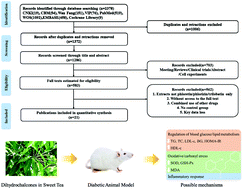 Graphical abstract: Effects of natural dihydrochalcones in sweet tea (Lithocarpus polystachyus) on diabetes: a systematical review and meta-analysis of animal studies