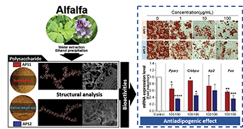 Graphical abstract: Influence of the ecological environment on the structural characteristics and bioactivities of polysaccharides from alfalfa (Medicago sativa L.)