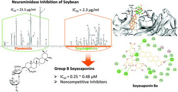 Graphical abstract: Soybean phytochemicals responsible for bacterial neuraminidase inhibition and their characterization by UPLC-ESI-TOF/MS
