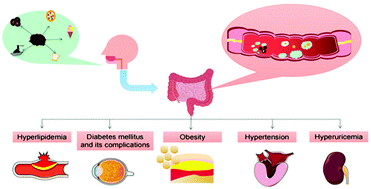 Graphical abstract: Beneficial effects of psyllium on the prevention and treatment of cardiometabolic diseases