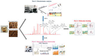 Graphical abstract: Discovery of potential hypoglycemic metabolites in Cassiae Semen by coupling UHPLC-QTOF-MS/MS combined plant metabolomics and spectrum-effect relationship analyses