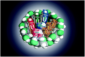 Graphical abstract: Development if healthy milk and yogurt products for reducing metabolic diseases using cyclodextrin and omega-3 fatty acids from fish oil