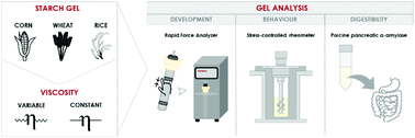 Graphical abstract: Unraveling the impact of viscosity and starch type on the in vitro starch digestibility of different gels