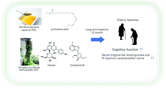 Graphical abstract: Perilla frutescens seed oil combined with Anredera cordifolia leaf powder attenuates age-related cognitive decline by reducing serum triglyceride and glucose levels in healthy elderly Japanese individuals: a possible supplement for brain health