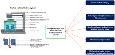 Graphical abstract: A dynamic in vitro oral mastication system to study the oral processing behavior of soft foods
