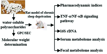 Graphical abstract: Poria cocos water-soluble polysaccharide modulates anxiety-like behavior induced by sleep deprivation by regulating the gut dysbiosis, metabolic disorders and TNF-α/NF-κB signaling pathway