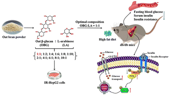 Graphical abstract: Oat β-glucan and l-arabinose synergistically ameliorate glucose uptake in insulin-resistant HepG2 cells and exert anti-diabetic activity via activation of the PI3K/AKT pathway in db/db mice