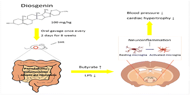 Graphical abstract: Diosgenin exerts an antihypertensive effect in spontaneously hypertensive rats via gut–brain communication