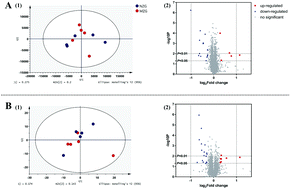 Graphical abstract: Effects of marginal zinc deficiency on learning and memory ability after birth