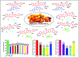 Graphical abstract: Isolation and characterization of auronlignan derivatives with hepatoprotective and hypolipidemic activities from the fruits of Hippophae rhamnoides L.