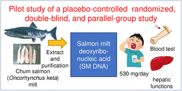 Graphical abstract: Evaluation of the efficacy and safety of chum salmon milt deoxyribonucleic acid for improvement of hepatic functions: a placebo-controlled, randomised, double-blind, and parallel-group, pilot clinical trial