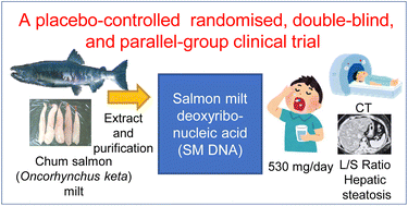 Graphical abstract: Dietary supplementation of deoxyribonucleic acid derived from chum salmon milt improves liver function in healthy Japanese individuals: a placebo-controlled, randomised, double-blind, parallel-group clinical trial