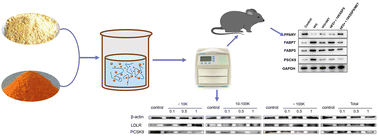 Graphical abstract: Lipid-lowering activity of metformin-soluble soybean polysaccharide nanoparticles