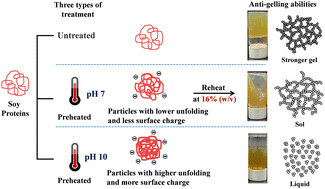 Graphical abstract: Ultra-thermostable soy protein particles prepared by combining preheating treatment with slightly alkaline pH