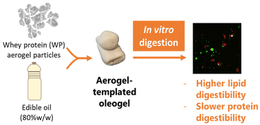 Graphical abstract: Steering protein and lipid digestibility by oleogelation with protein aerogels