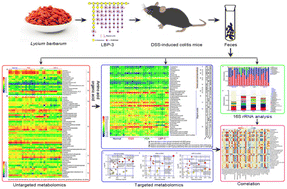 Graphical abstract: Impact of Lycium barbarum arabinogalactan on the fecal metabolome in a DSS-induced chronic colitis mouse model