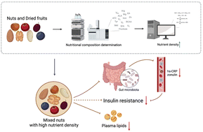 Graphical abstract: Mixed nuts with high nutrient density improve insulin resistance in mice by gut microbiota remodeling