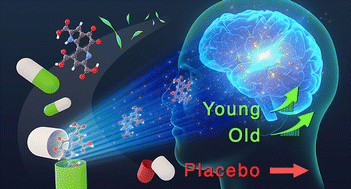 Graphical abstract: Pyrroloquinoline quinone disodium salt improves brain function in both younger and older adults