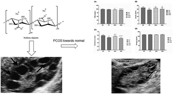 Graphical abstract: Effect of sodium alginate supplementation on weight management and reproductive hormones in polycystic females