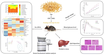Graphical abstract: Whole grain benefit: synergistic effect of oat phenolic compounds and β-glucan on hyperlipidemia via gut microbiota in high-fat-diet mice