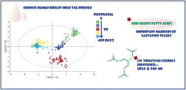 Graphical abstract: Profiling of triacylglycerol composition in the breast milk of Chinese mothers at different lactation stages