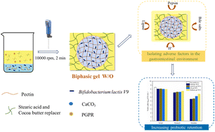 Graphical abstract: Improving the gastrointestinal activity of probiotics through encapsulation within biphasic gel water-in-oil emulsions