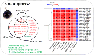 Graphical abstract: Soy isoflavone ameliorated the alterations in circulating adipokines and microRNAs of mice fed a high-fat diet