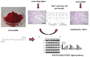 Graphical abstract: Astaxanthin ameliorates lipopolysaccharide-induced acute lung injury via inhibition of inflammatory reactions and modulation of the SOCS3/JAK2/STAT3 signaling pathways in mice