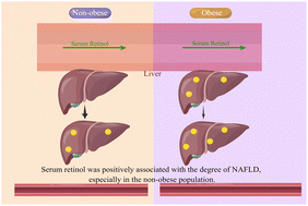 Graphical abstract: The association between serum vitamin A and NAFLD among US adults varied in different BMI groups: a cross-sectional study