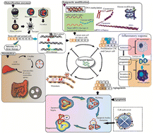 Graphical abstract: Anticancer potential of flaxseed lignans, their metabolites and synthetic counterparts in relation with molecular targets: current challenges and future perspectives