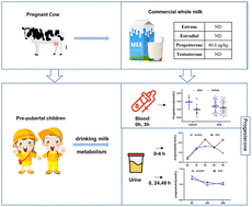 Graphical abstract: Short-term serum and urinary changes in sex hormones of healthy pre-pubertal children after the consumption of commercially available whole milk powder: a randomized, two-level, controlled-intervention trial in China