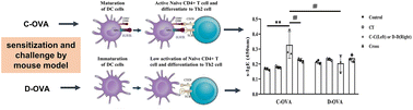 Graphical abstract: Antigen presentation induced variation in ovalbumin sensitization between chicken and duck species