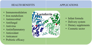 Graphical abstract: A comprehensive review on lactoferrin: a natural multifunctional glycoprotein