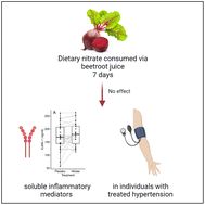 Graphical abstract: Increased nitrate intake from beetroot juice does not alter soluble cellular adhesion molecules and circulating inflammatory cytokines in individuals with treated hypertension: a randomised, controlled trial