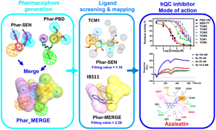 Graphical abstract: Pharmacophore-driven identification of human glutaminyl cyclase inhibitors from foods, plants and herbs unveils the bioactive property and potential of Azaleatin in the treatment of Alzheimer's disease