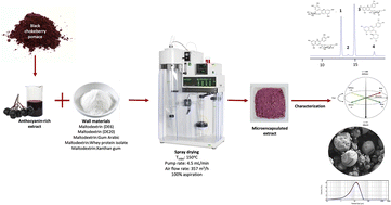 Graphical abstract: Encapsulation of anthocyanin-rich extract from black chokeberry (Aronia melanocarpa) pomace by spray drying using different coating materials