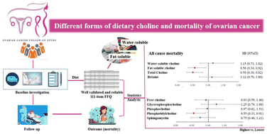 Graphical abstract: Relationship between different forms of dietary choline and ovarian cancer survival: findings from the ovarian cancer follow-up study, a prospective cohort study