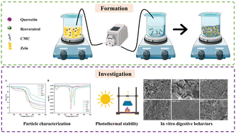 Graphical abstract: Co-encapsulation of quercetin and resveratrol in zein/carboxymethyl cellulose nanoparticles: characterization, stability and in vitro digestion