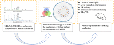 Graphical abstract: A UPLC-Q-TOF/MS and network pharmacology method to explore the mechanism of Anhua fuzhuan tea intervention in nonalcoholic fatty liver disease