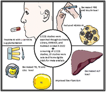 Graphical abstract: Effects of l-carnitine supplementation on glucolipid metabolism: a systematic review and meta-analysis