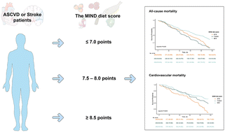 Graphical abstract: Better adherence to the MIND diet is associated with lower risk of all-cause death and cardiovascular death in patients with atherosclerotic cardiovascular disease or stroke: a cohort study from NHANES analysis