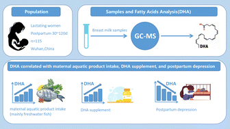 Graphical abstract: Postpartum dietary intake, depression and the concentration of docosahexaenoic acid in mature breast milk in Wuhan, China