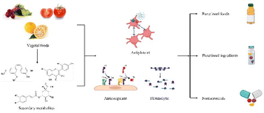 Graphical abstract: Bioactive compounds and functional foods as coadjuvant therapy for thrombosis