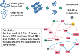 Graphical abstract: Lower blood lipid level from the administration of plant tannins via altering the gut microbiota diversity and structure