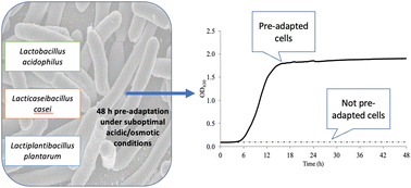 Graphical abstract: Application of pre-adaptation strategies to improve the growth of probiotic lactobacilli under food-relevant stressful conditions