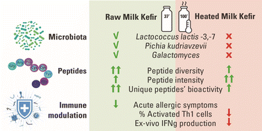 Graphical abstract: Raw milk kefir: microbiota, bioactive peptides, and immune modulation